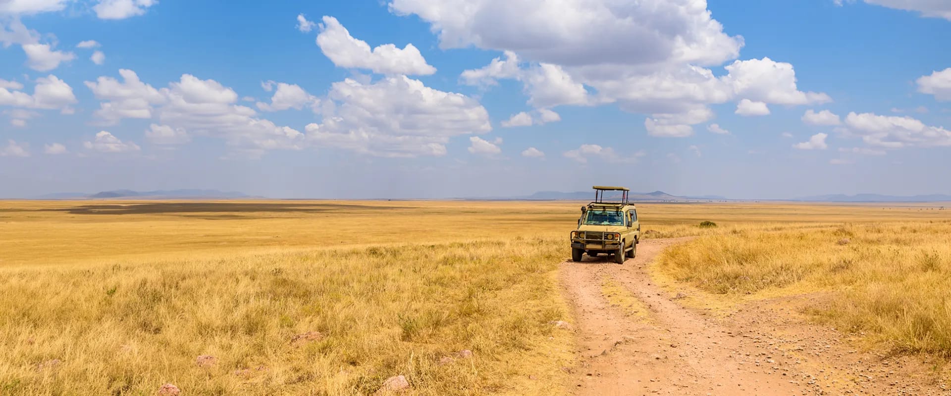 Tanzania Safaris Tanzania Safaris