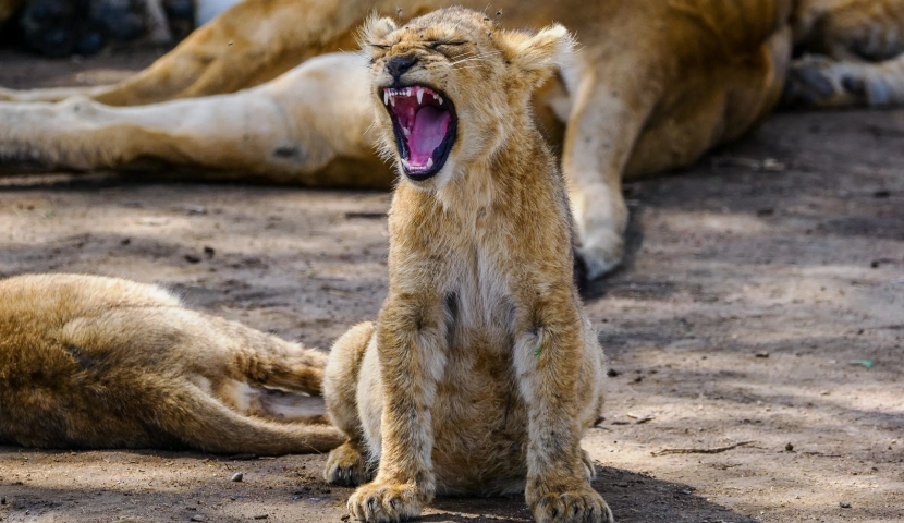 Clear Open Communication