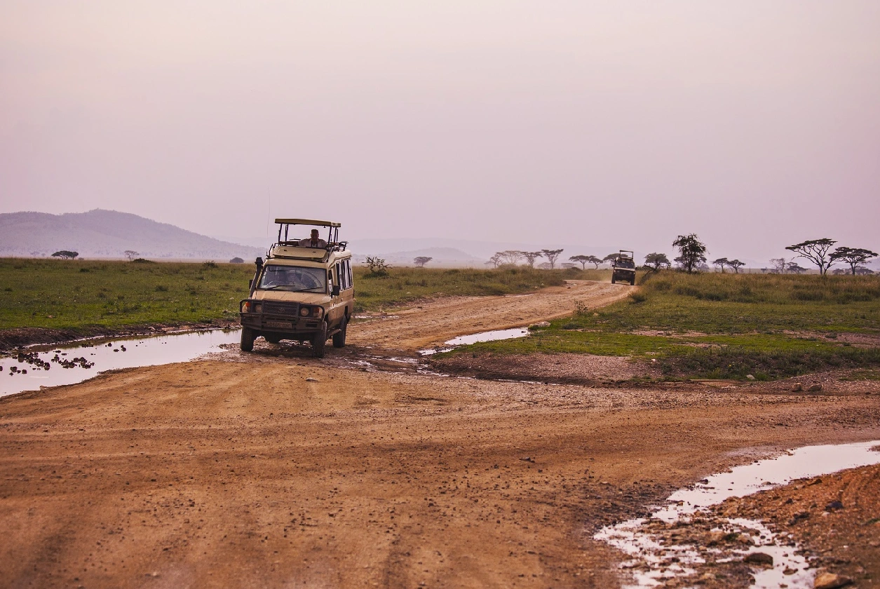 Safari Vehicle